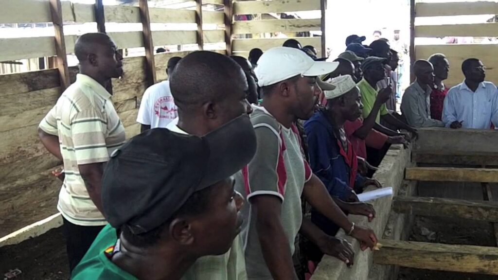 OGCEYOD Cameroon on Revamping the Cocoa sector in Ekombe Bonji