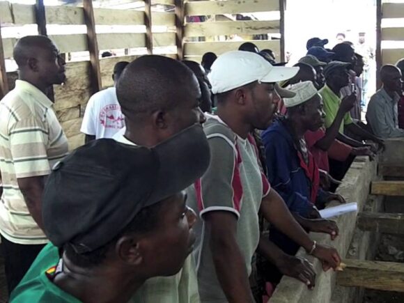 OGCEYOD Cameroon on Revamping the Cocoa sector in Ekombe Bonji